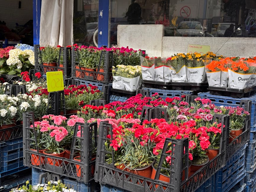 A display of various potted flowering plants arranged in black plastic crates outside a flower shop, with carnations in shades of pink, red, and white, along with other colorful blooms like orange mar